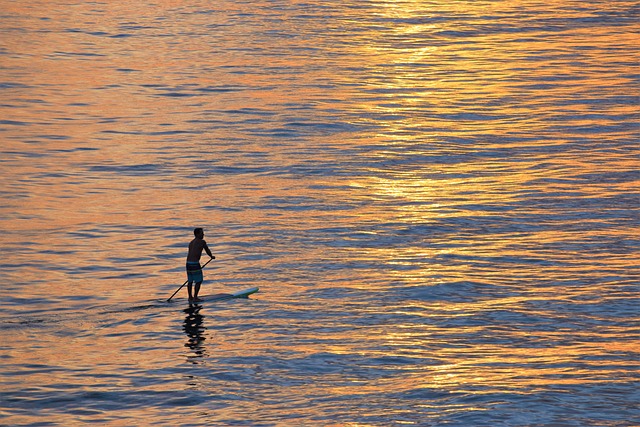An image capturing the vibrant energy of Duke Kahanamoku Beach Challenge: silhouettes of surfers gracefully riding towering waves, golden sand sparkling under the sun, and a backdrop of lush palm trees swaying in the tropical breeze