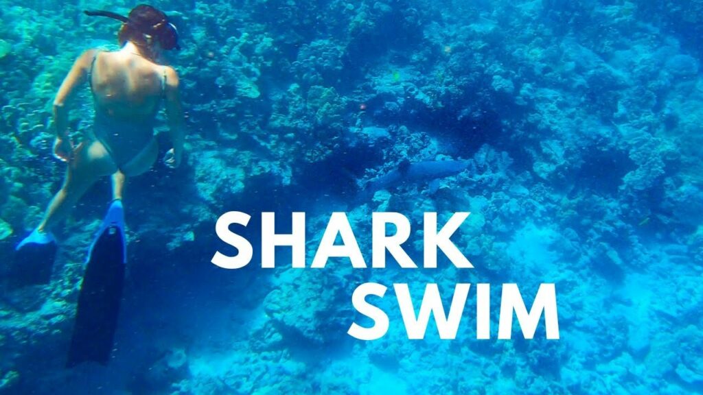 The Best Snorkeling On The Big Island Hawaii In Our Biased Opinion 1