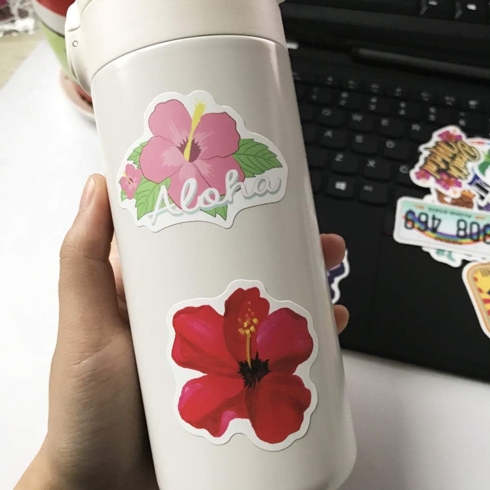 Dofe 50 Pcs Beach Hawaii Stickers Review